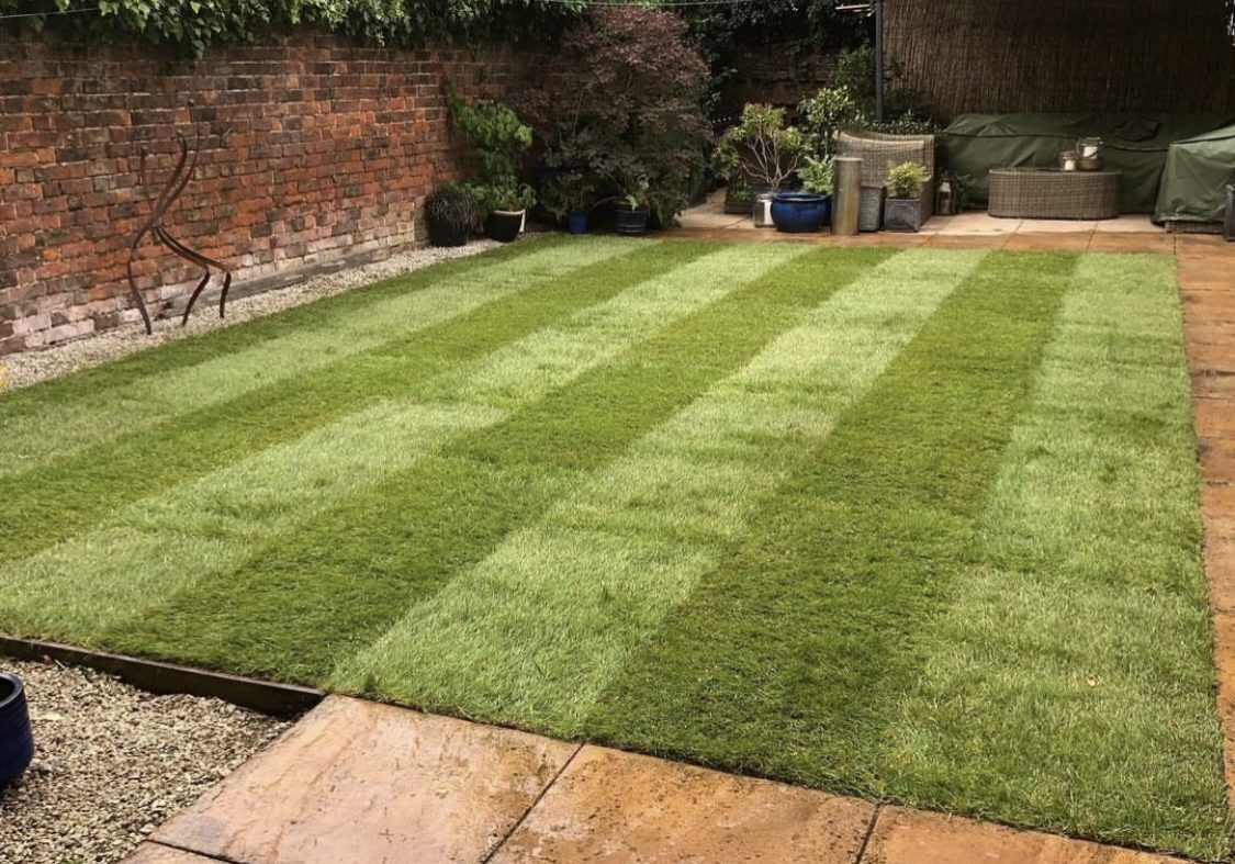 Screenshot Screenshot