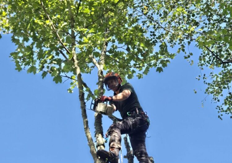 c0f2335c-671e-4de8-941b-1f0ed2955e0a